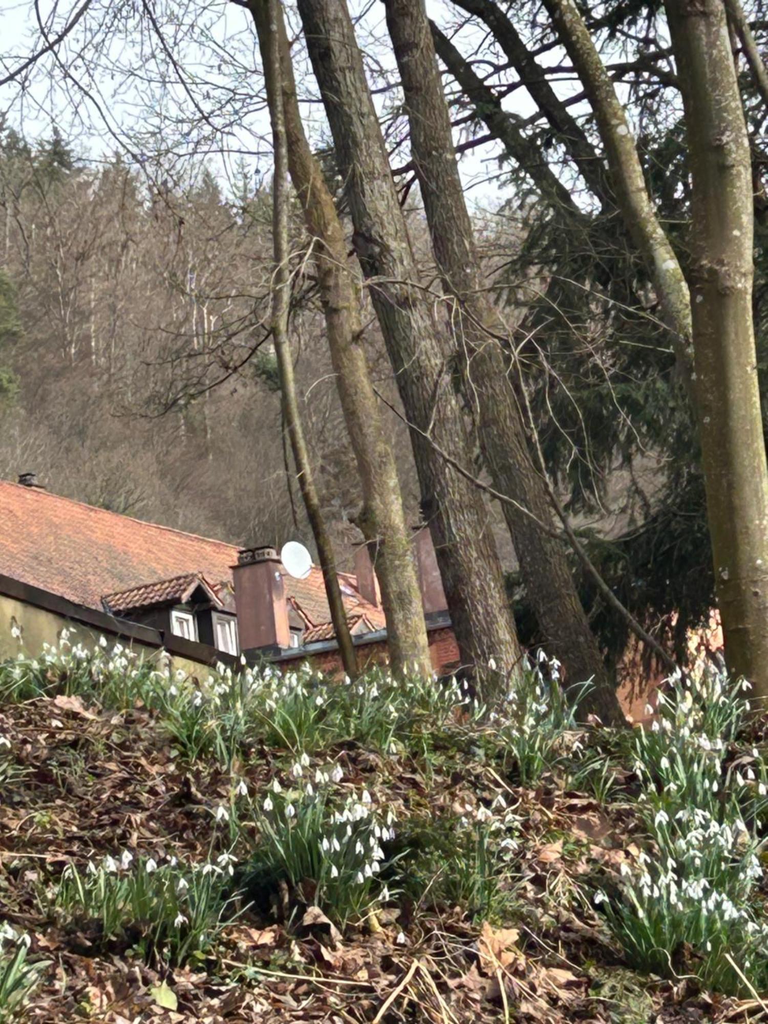 Villa Am Fluss Pforzheim Exterior photo