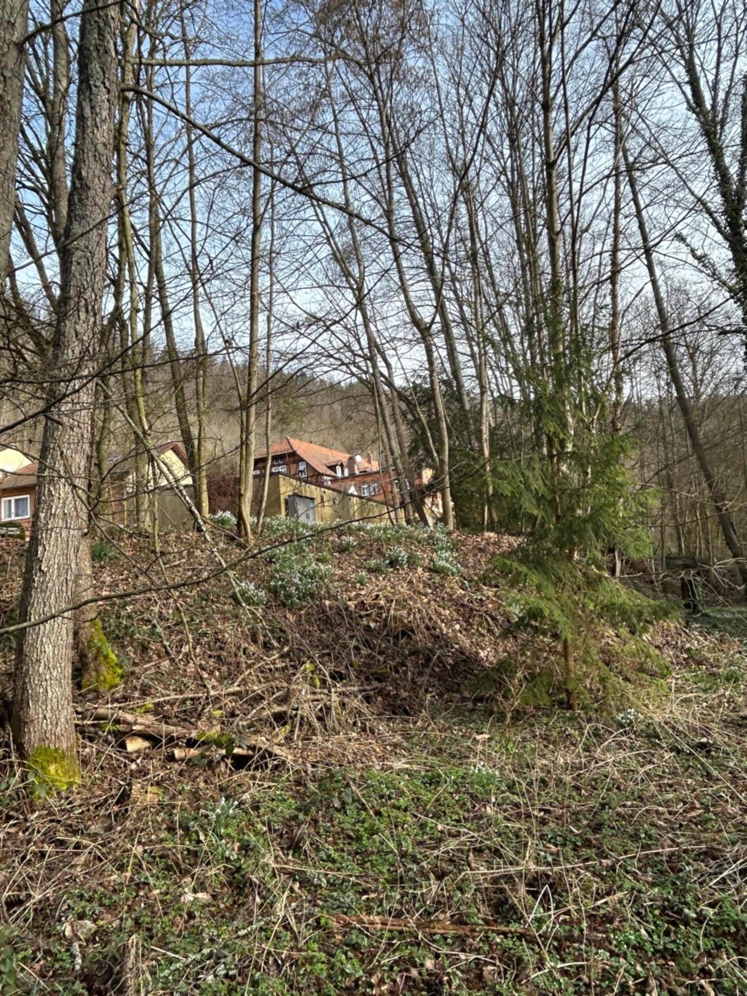 Villa Am Fluss Pforzheim Exterior photo