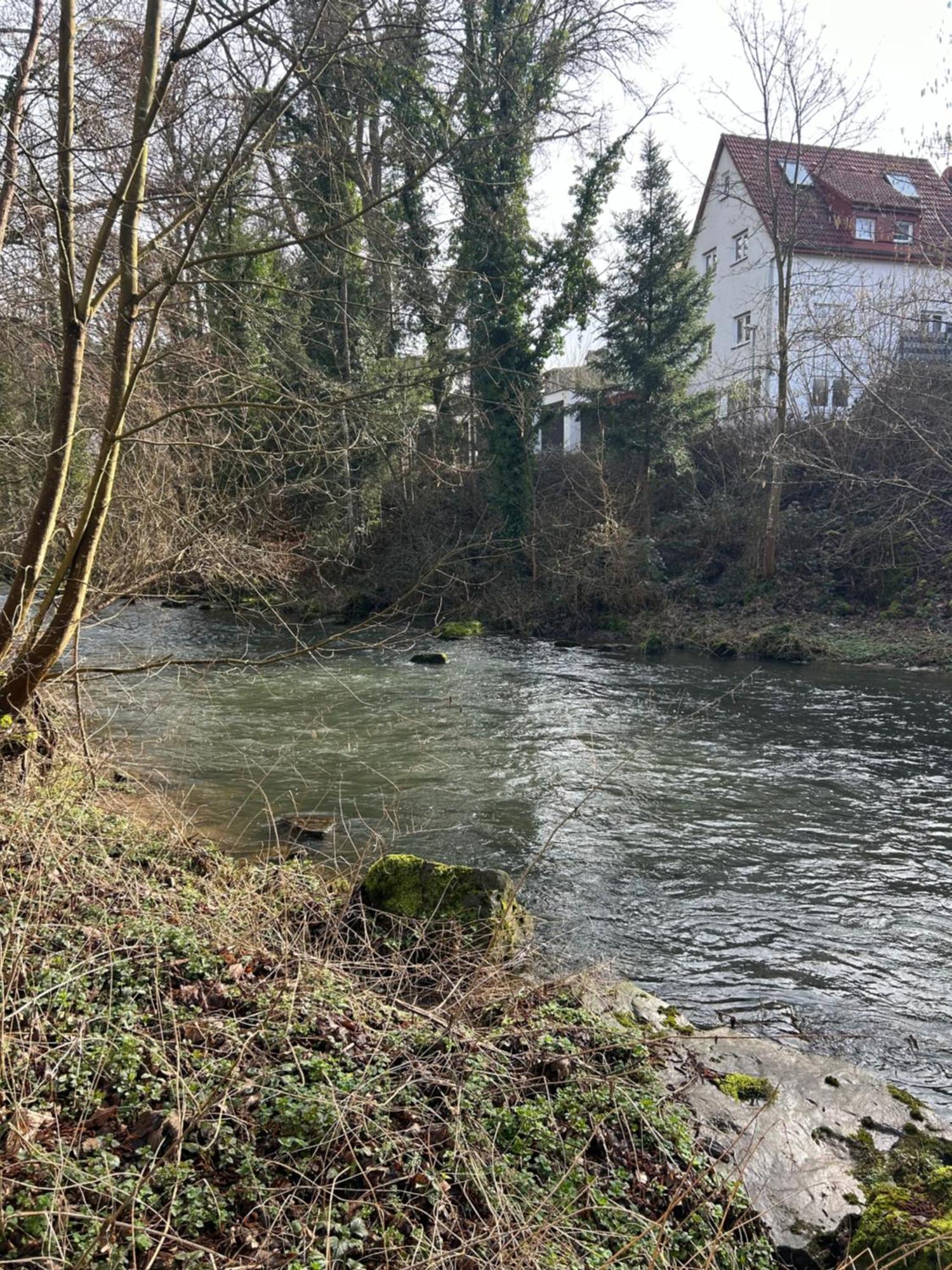 Villa Am Fluss Pforzheim Exterior photo
