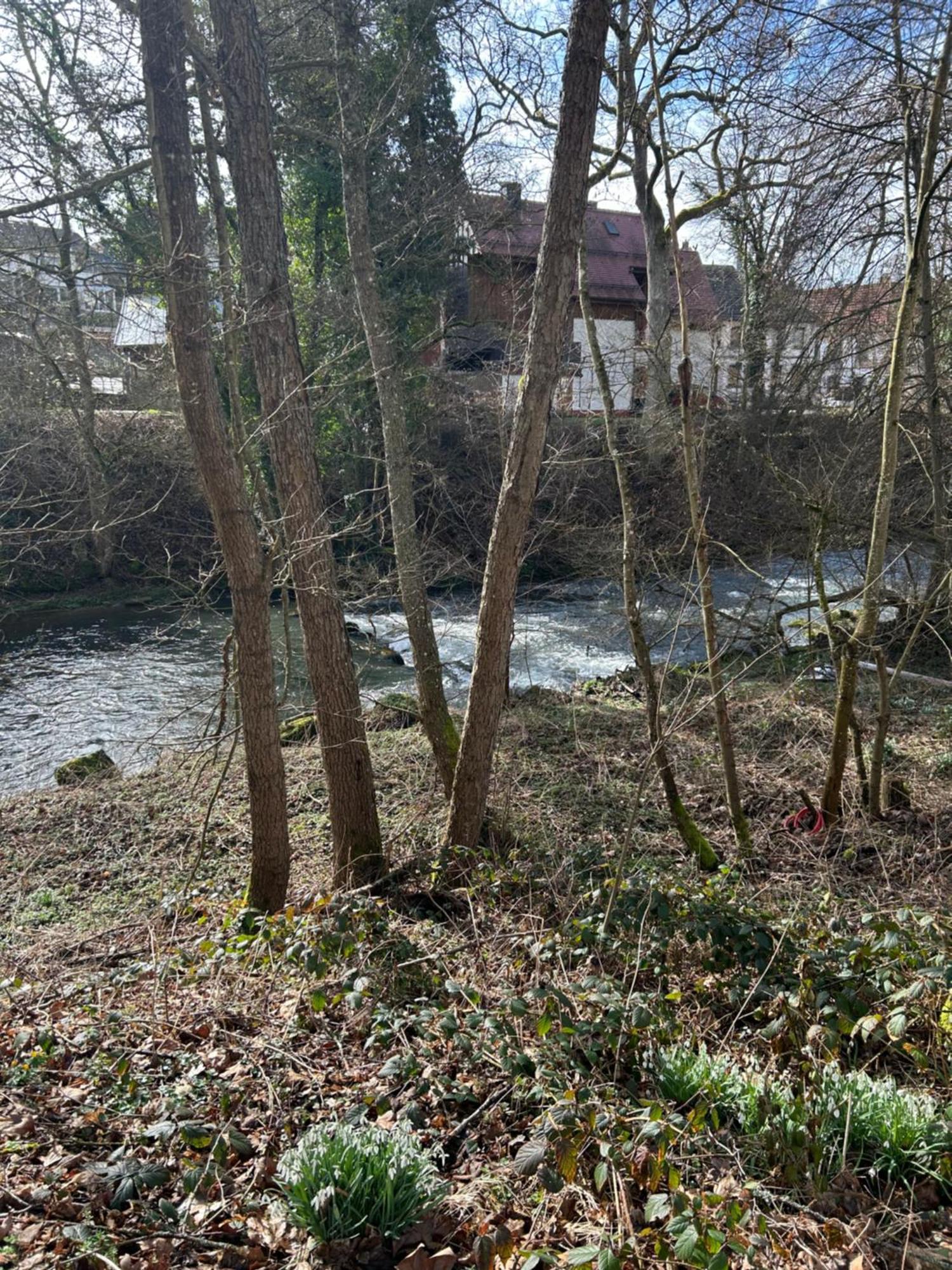 Villa Am Fluss Pforzheim Exterior photo
