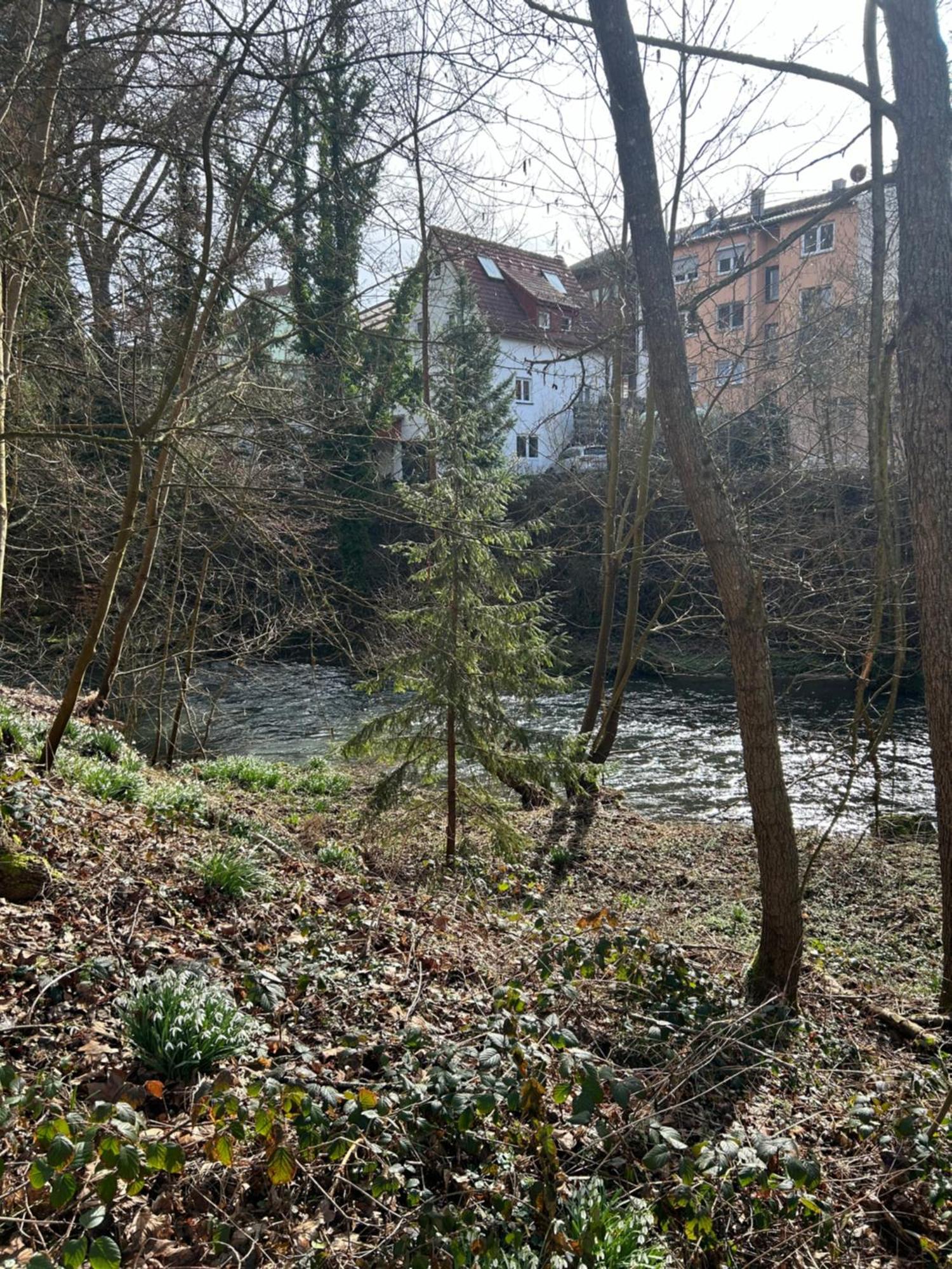 Villa Am Fluss Pforzheim Exterior photo